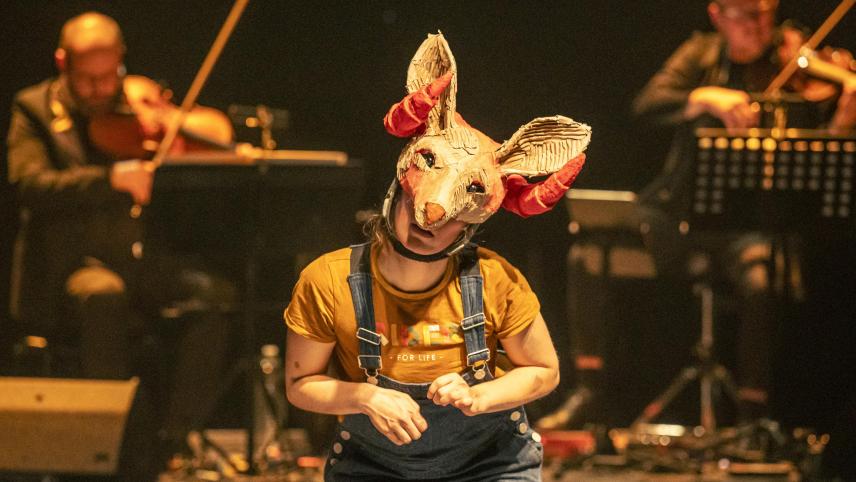 Un carnaval des animaux - Orchestre Régional de Normandie - La Magouille