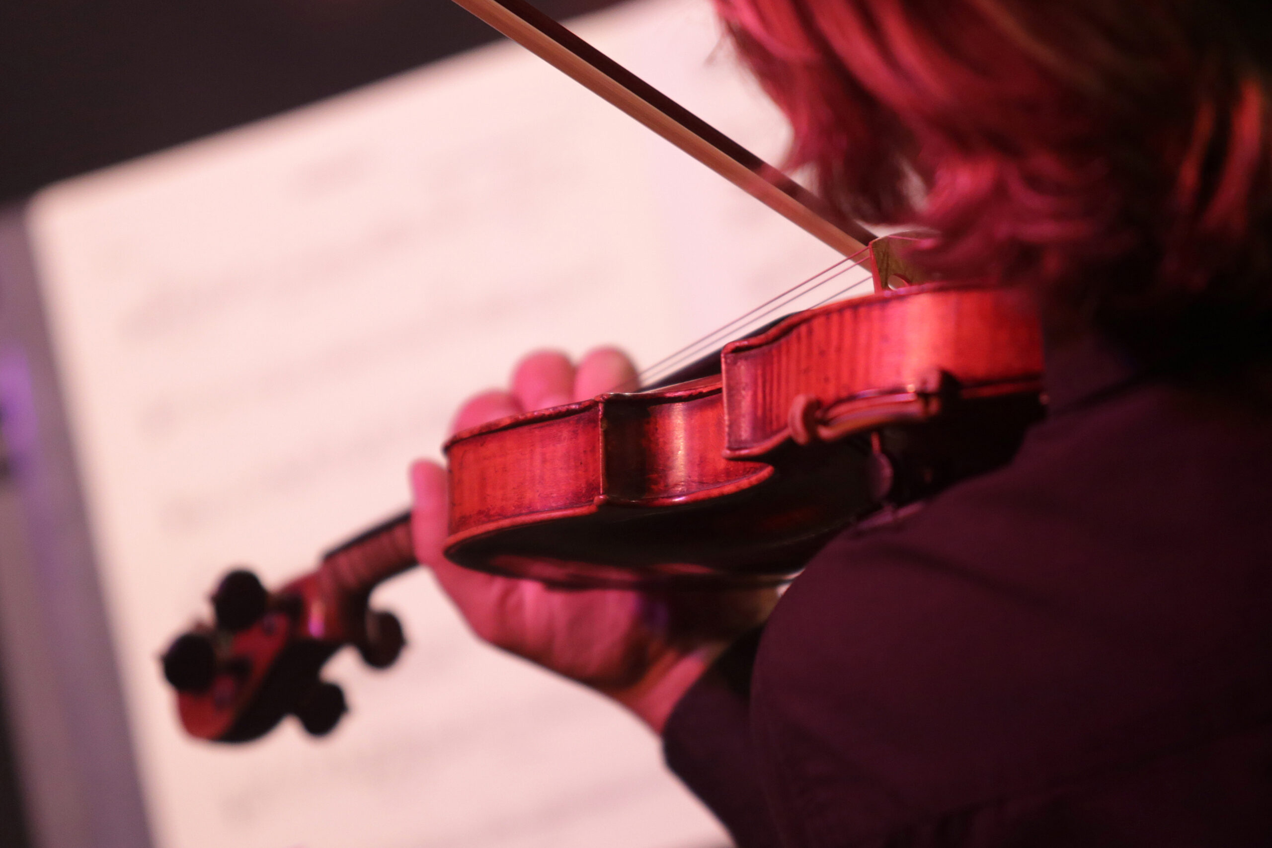 Les musiciens de Sempé - Orchestre Régional de Normandie (©ORN)