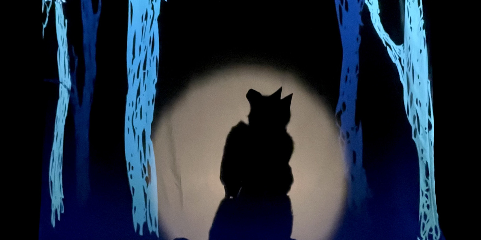 Le Loup et Pierre - Compagnie Hors d’Œuvres
